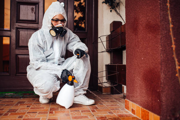 Reliable Wasp Removal contractor in Sullivan, MO by Show Me Pest Control